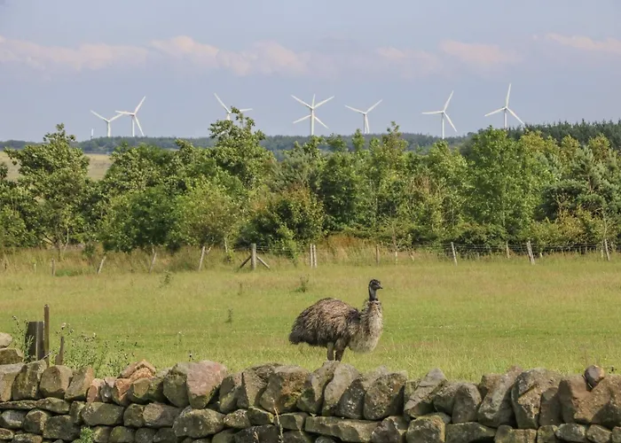 Semesterbostad Meagill Farmhouse-hot Tub Country *